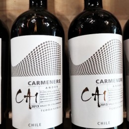 Vang Carmenere CA 1
